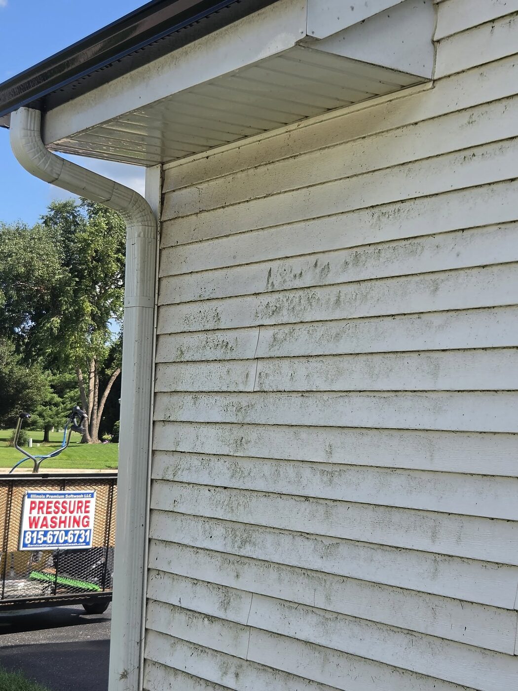 A tall stretch of siding stained with heavy green growth beside a driveway