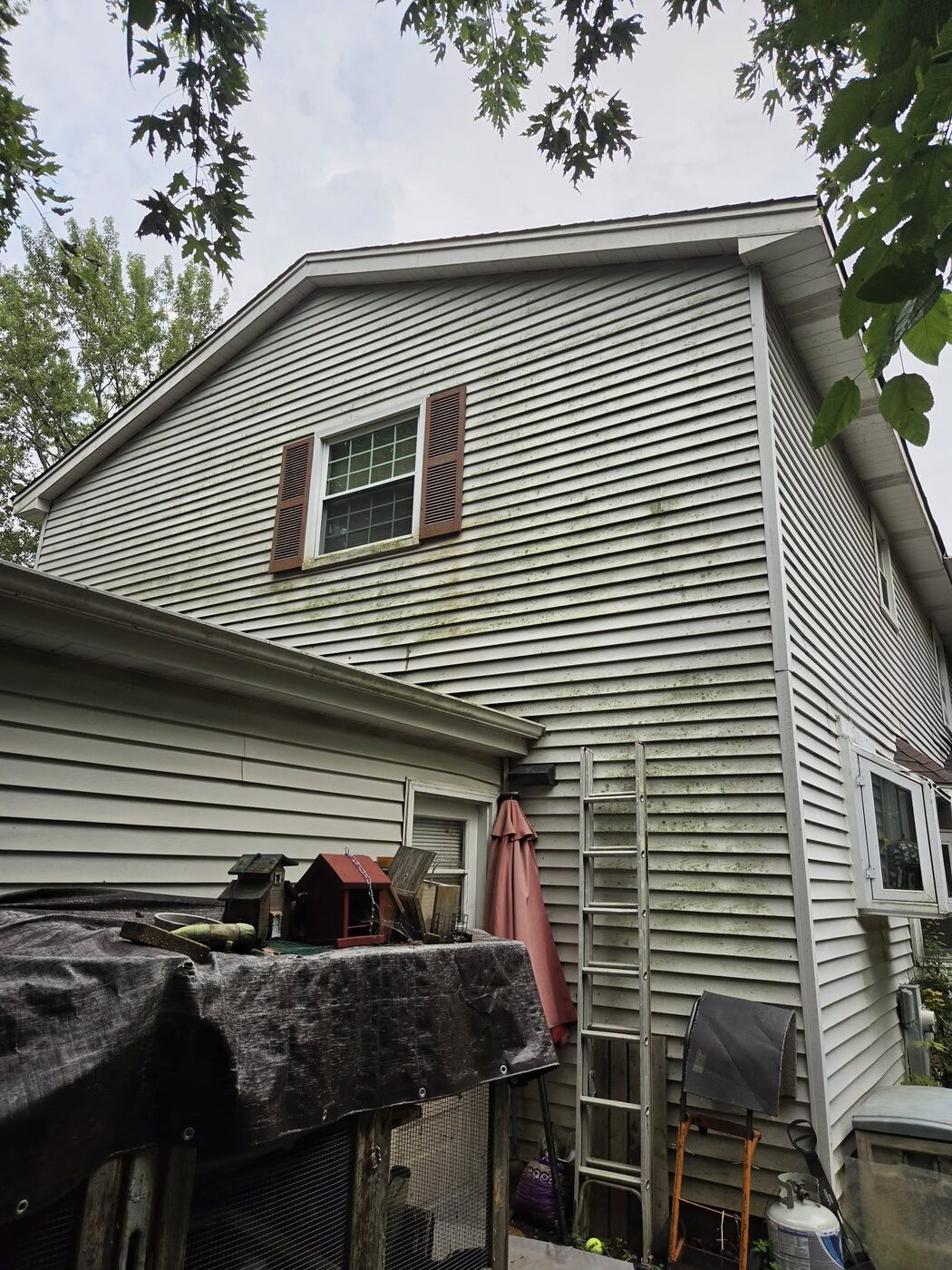 A two storey home with siding streaked green and grey above the back patio