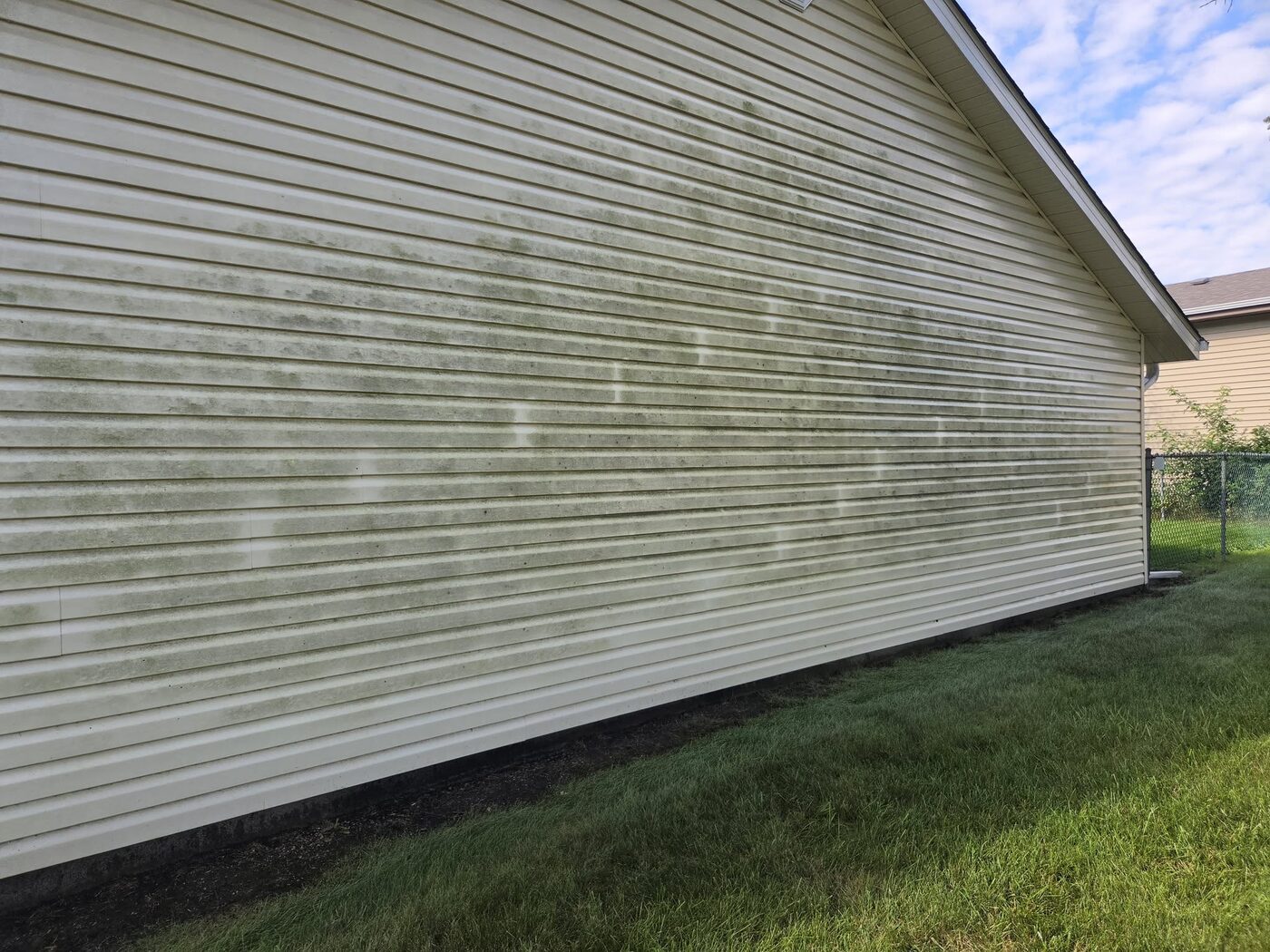 The side wall of a house heavily streaked with dark green algae from the ground to the eaves
