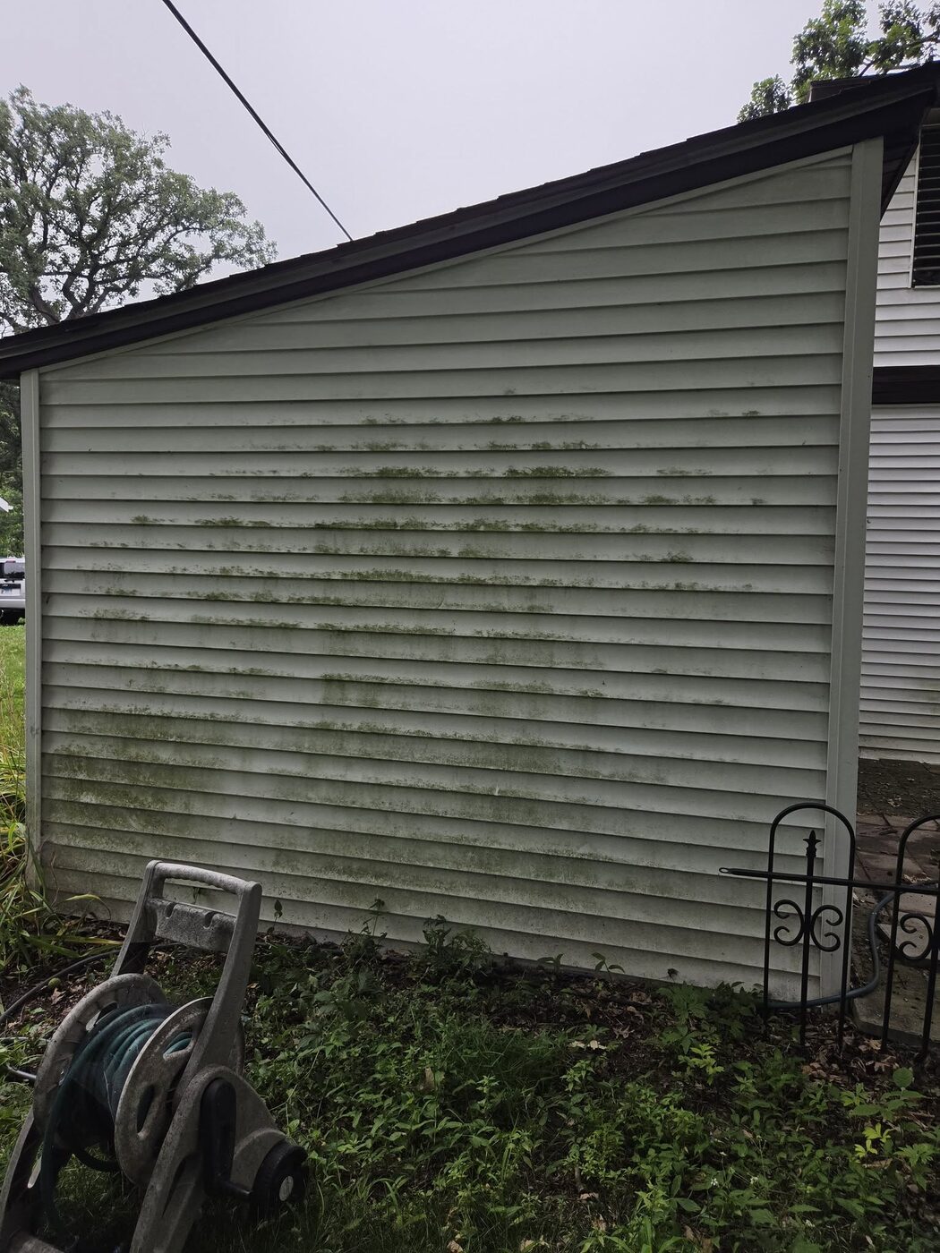 A garage wall covered in green algae growth before washing